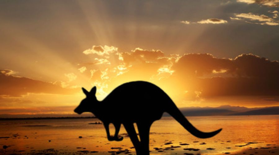 Expats wollen nach Australien