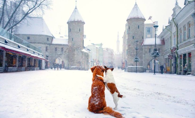 Tallinn hat die meisten Schneetage in Europa