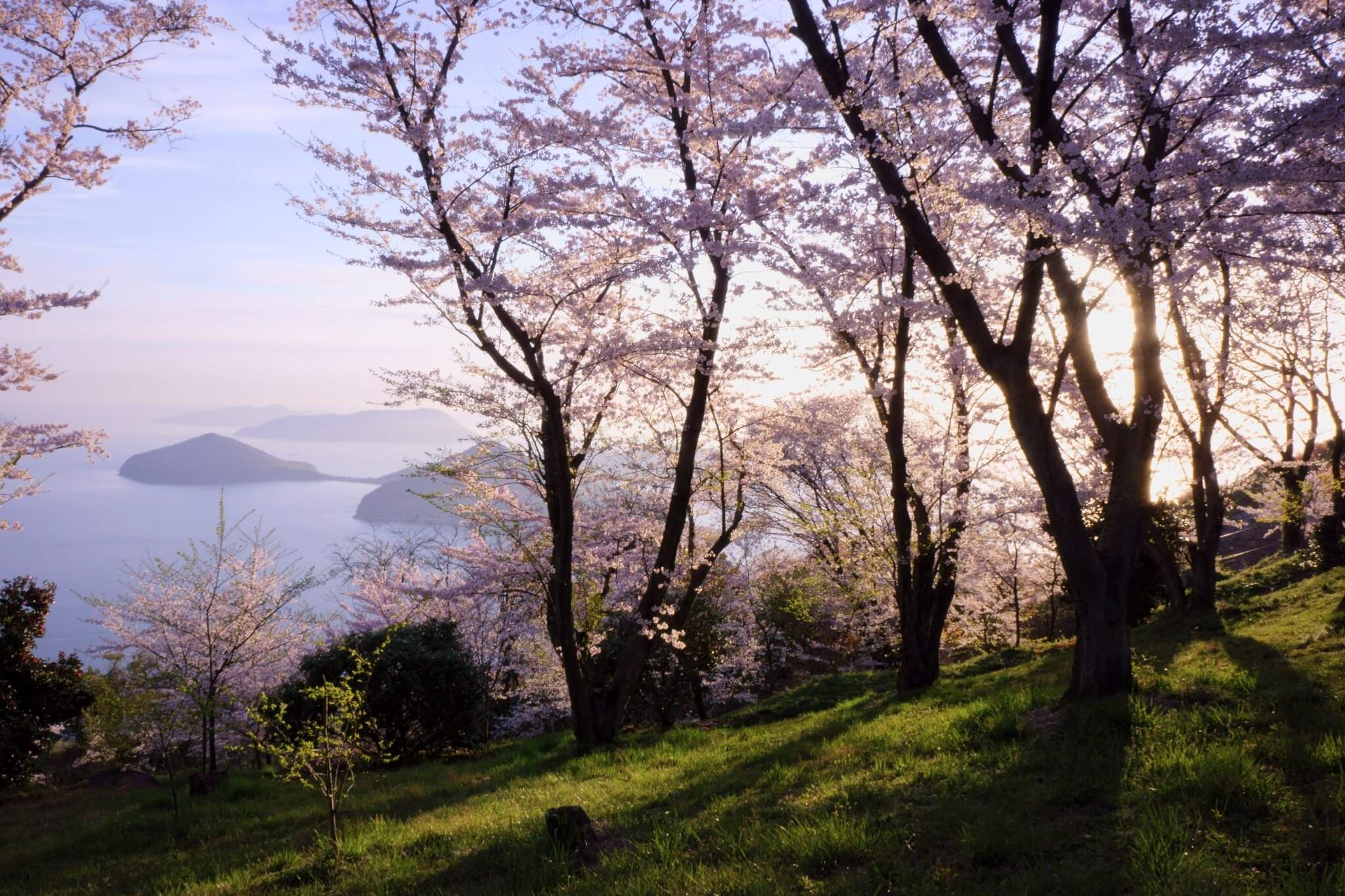 Setouchi: Eine authentische Alternative zu den ausgetretenen Reisepfaden Japans