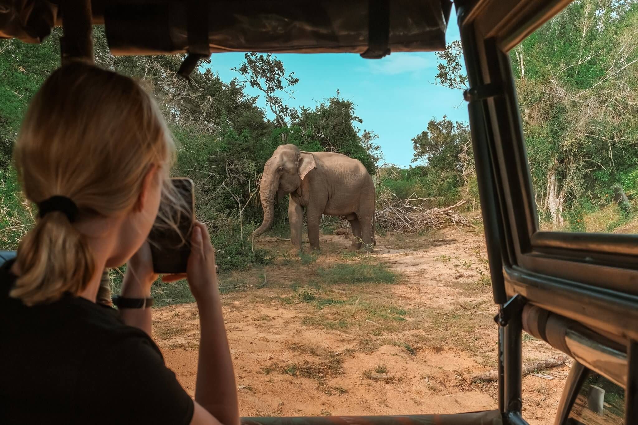 Mit diesen Tipps wird eine Safari mit Kindern zu einem unvergesslichem Erlebnis