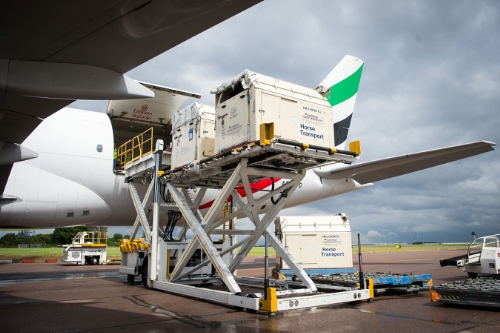 Horses bound for the Rio 2016 Olympic games are loaded onto an Emirates SkyCargo Being 777-F at London Stansted Airport. On the flight were 34 horses from 10 of the nations competing in Equestrian at Rio 2016" (FEI/Jon Stroud media) (PRNewsFoto/FEI)